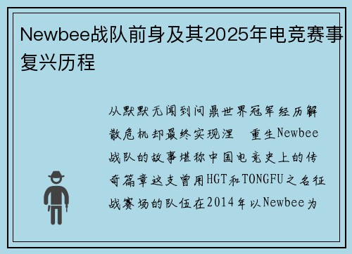 Newbee战队前身及其2025年电竞赛事复兴历程